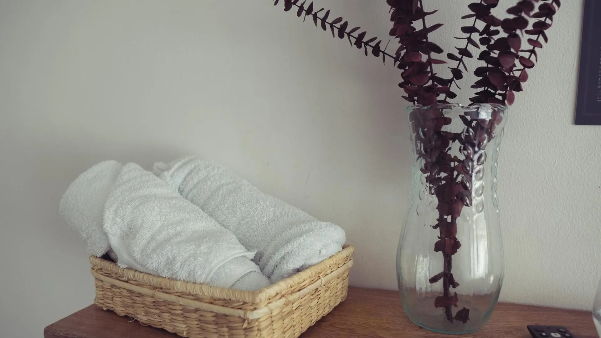Laureles Garden Hostel Medellin Guest house
