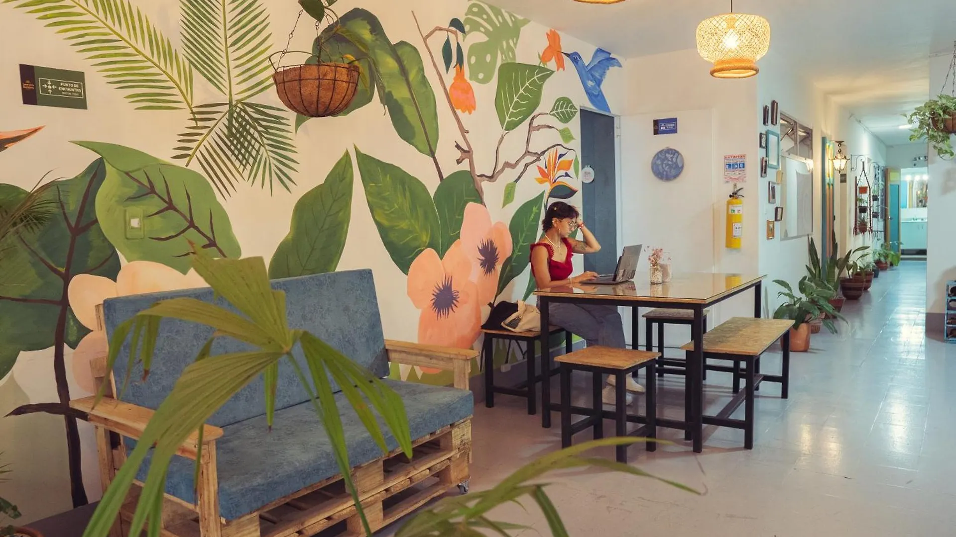 Pensión Laureles Garden Hostel Medellín